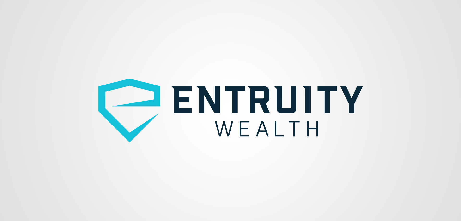 entruity wealth logo design