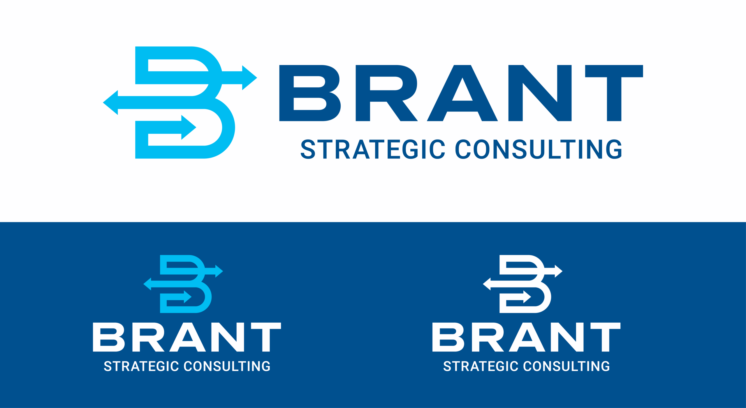 brant main logo and variations