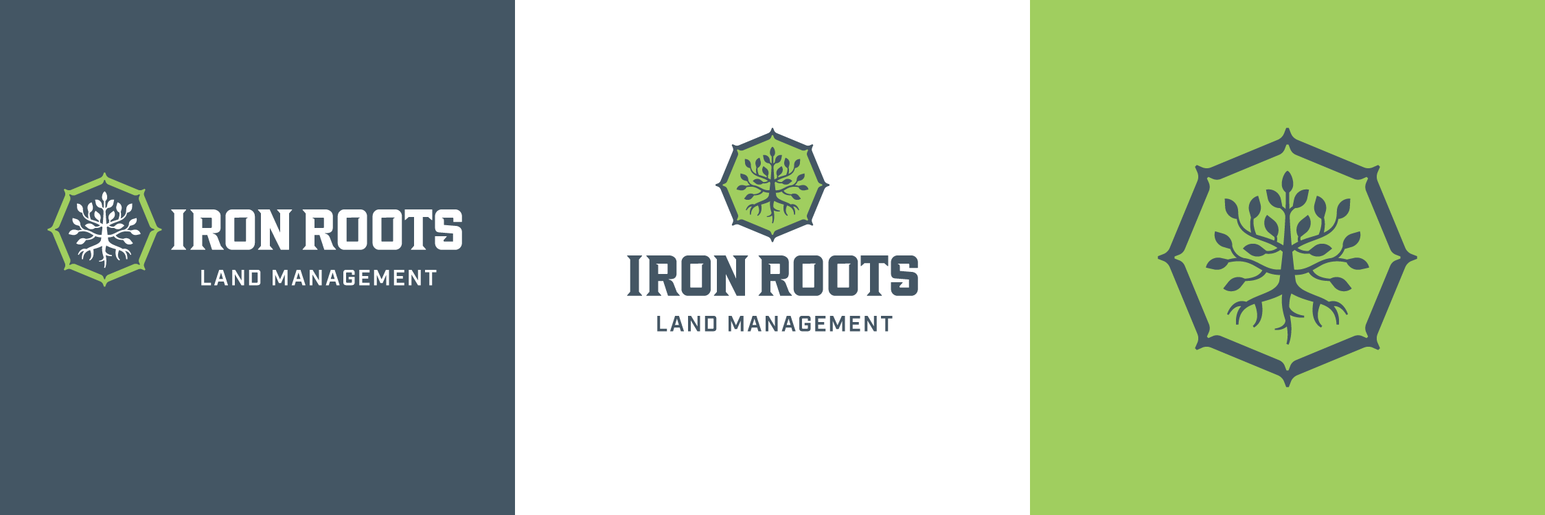 Iron Roots Land Management logo variations on three color backgrounds: a horizontal white-on-navy version with hexagon tree-root icon on the left, a stacked navy-on-white version in the center, and a large standalone navy-on-green hexagon tree-root icon on the right.